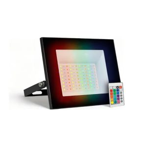 PROJETOR LED RGB B 30W C/CTRL 1.0/ 22.2X18.2