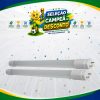 LAMP. TUBULAR LED T8 18W 1200MM 3000K G13 BIVOLT TOP LIGHT