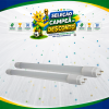 LAMP. TUBULAR LED T8 9W 600MM 6500K G13 BIVOLT TOP LIGHT