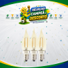 LAMP. FILAMENTO 4W VELA-BICO C35 E14 2200K BIVOLT APOLLO