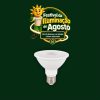 LAMP. PAR 30 11W 6500K