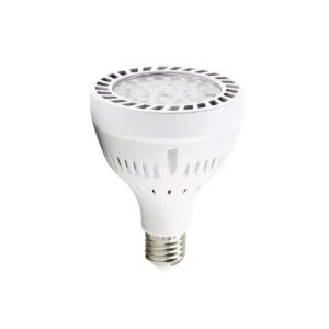 LAMP. PAR 30 43W 3000K
